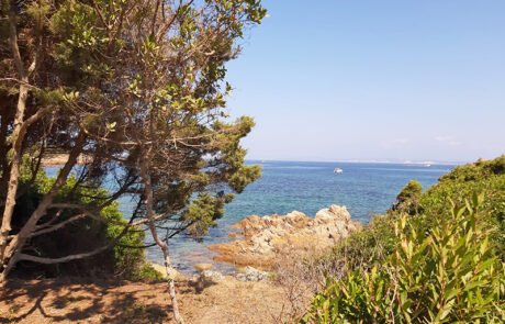 meerausblick-sardische-kuste-sardinien-1