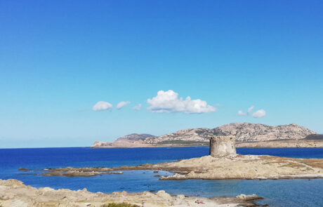 meerausblick-stintino-sardinien-2